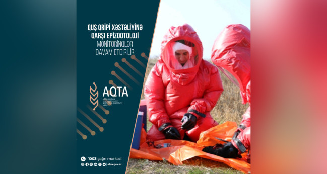 Quş qripi xəstəliyinə qarşı epizootoloji monitorinqlər davam etdirilir