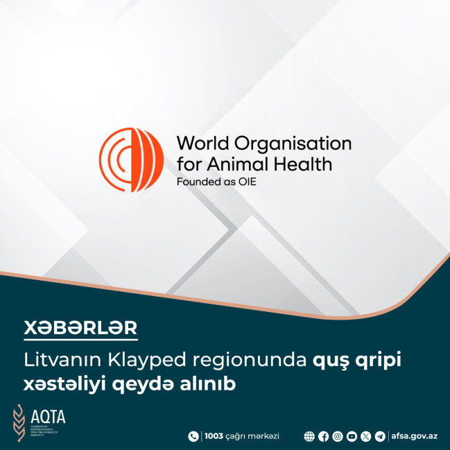 Litvanın Klayped regionunda quş qripi xəstəliyi qeydə alınıb