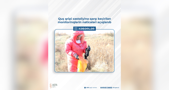 Quş qripi xəstəliyinə qarşı keçirilən monitorinqlərin nəticələri açıqlanıb