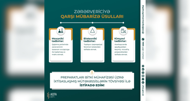 Qəhvəyi mərmər bağacığı ilə necə mübarizə aparılmalıdır?
