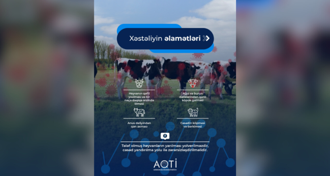 Təhlükəli zoonoz xəstəlik — Qarayara