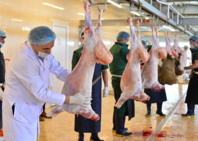 Qurbanlıq heyvanın kəsimi zamanı hansı tələblərə əməl edilməlidir?