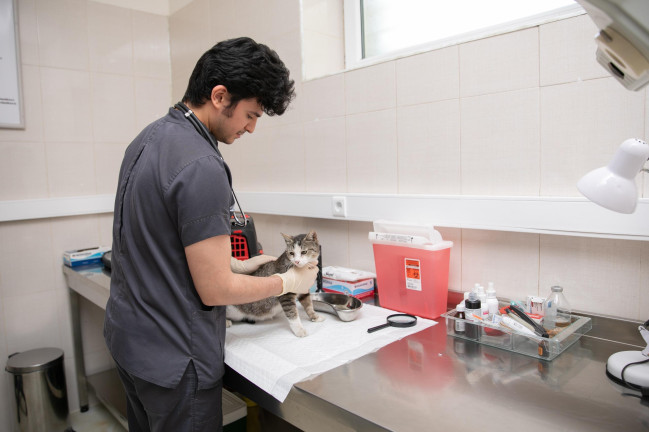 Mərkəzi Baytarlıq Laboratoriyasında biokimyəvi və hematoloji analizlər yüksək dəqiqliklə aparılır