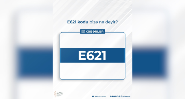 E621 kodu bizə nə deyir?