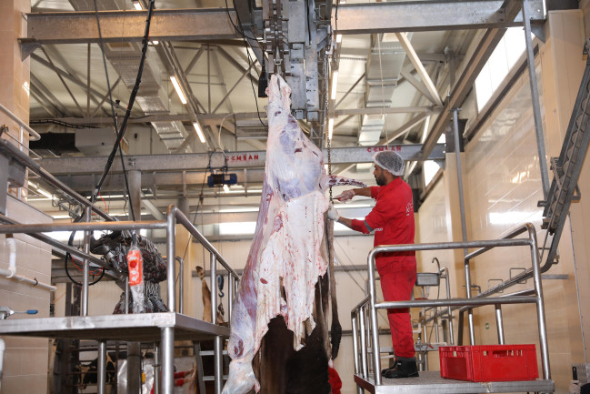 AQTA Qurban bayramı ilə bağlı jurnalistlər üçün infotur təşkil edib