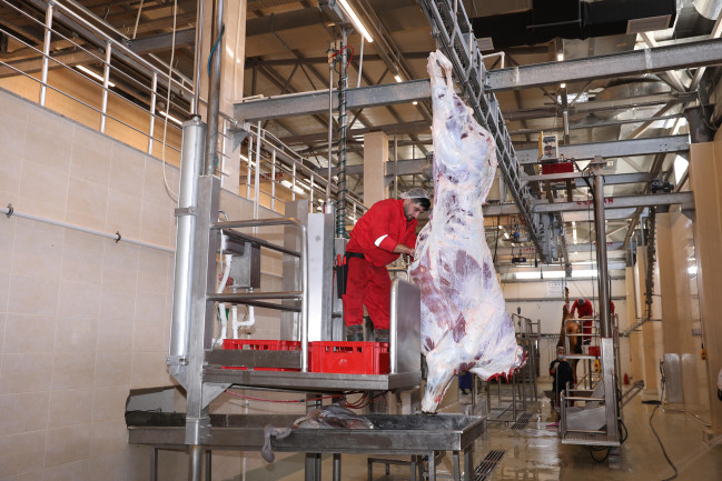 AQTA Qurban bayramı ilə bağlı jurnalistlər üçün infotur təşkil edib