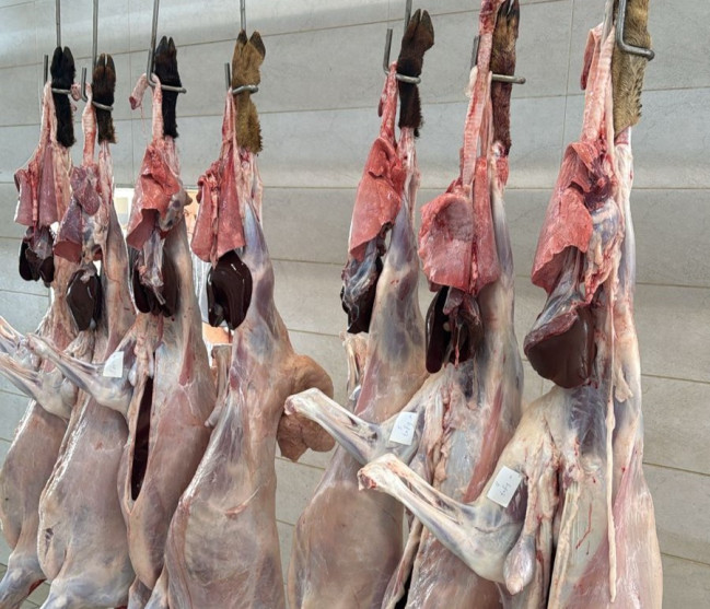 Bayramla bağlı 135 ünvanda qurbanlıq heyvanların satışı və kəsimi xidmətləri göstərilir
