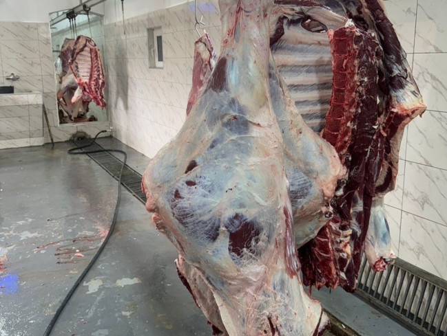 Bayramla bağlı 135 ünvanda qurbanlıq heyvanların satışı və kəsimi xidmətləri göstərilir