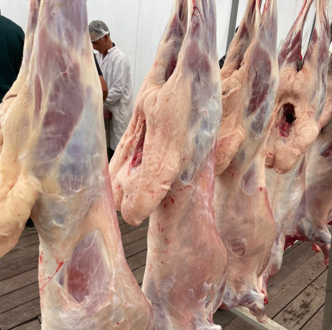Bayramla bağlı 135 ünvanda qurbanlıq heyvanların satışı və kəsimi xidmətləri göstərilir