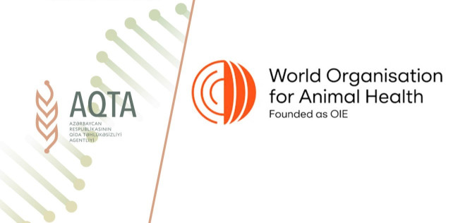 Bəzi ərazilərə tətbiq edilmiş məhdudiyyətlər aradan qaldırılıb