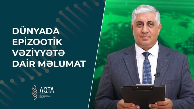 Dünyada epizootik vəziyyətə dair – VİDEOMƏLUMAT