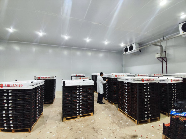 AQTA meyvə və tərəvəz ixracı ilə məşğul olan sahibkarlara müraciət edib