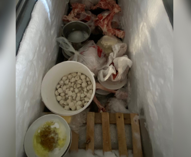 Gəncə və Göygöldə kütləvi qidalanmanın təşkilinə nəzarət məqsədilə monitorinqlər keçirilir