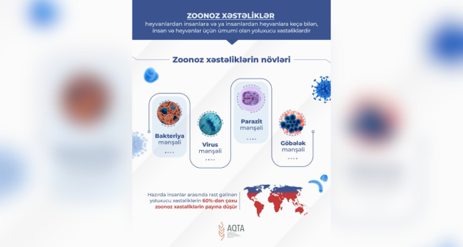 Zoonoz xəstəliklər – insan və heyvan sağlamlığı üçün təhlükə