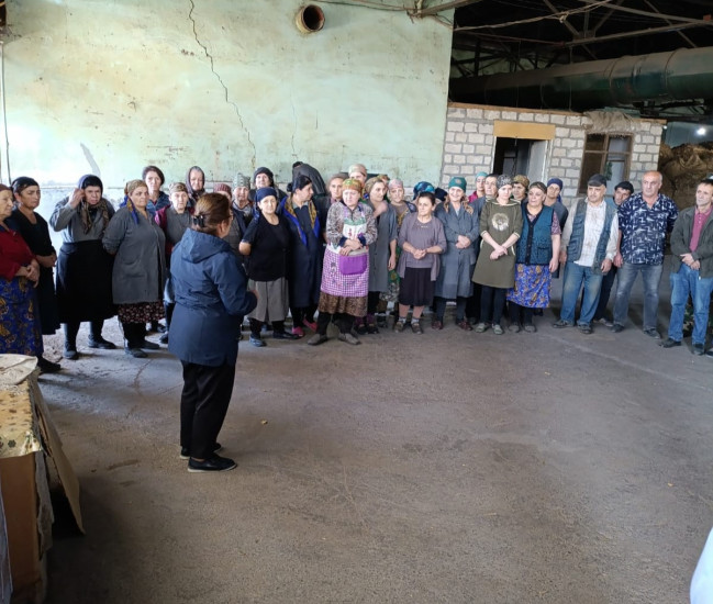 Qəhvəyi mərmər bağacığına qarşı mübarizə tədbirləri ilə bağlı maarifləndirici görüşlər davam edir