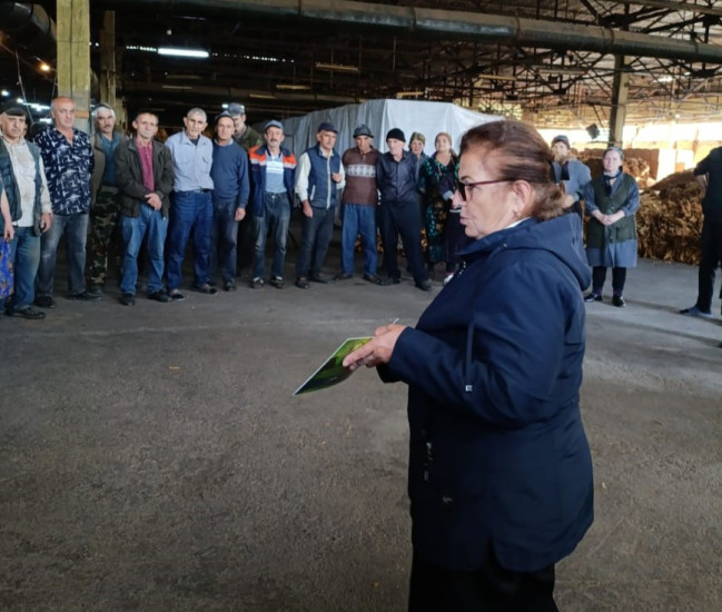 Qəhvəyi mərmər bağacığına qarşı mübarizə tədbirləri ilə bağlı maarifləndirici görüşlər davam edir