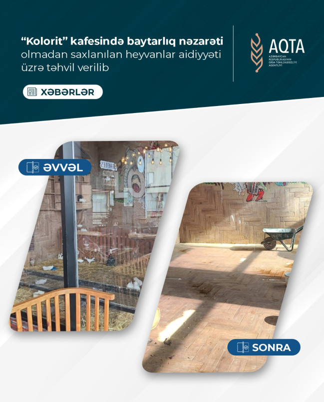 “Kolorit” kafesində baytarlıq nəzarəti olmadan saxlanılan heyvanlar aidiyyəti üzrə təhvil verilib