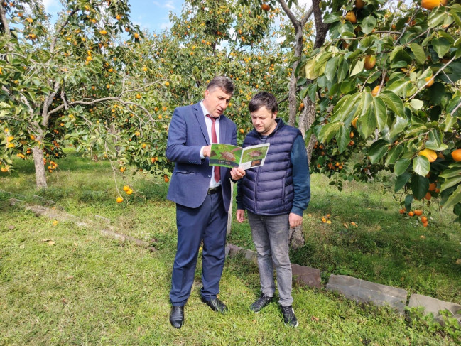Zaqatala və Balakənin 9 kəndində zərərvericiyə qarşı maarifləndirmə tədbiri keçirilib