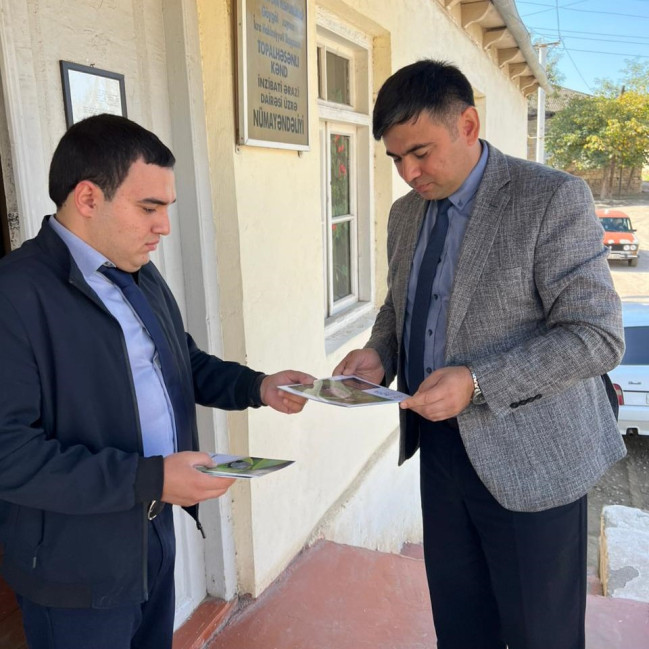 Qəhvəyi mərmər bağacığına qarşı tədbirlər davam etdirilir
