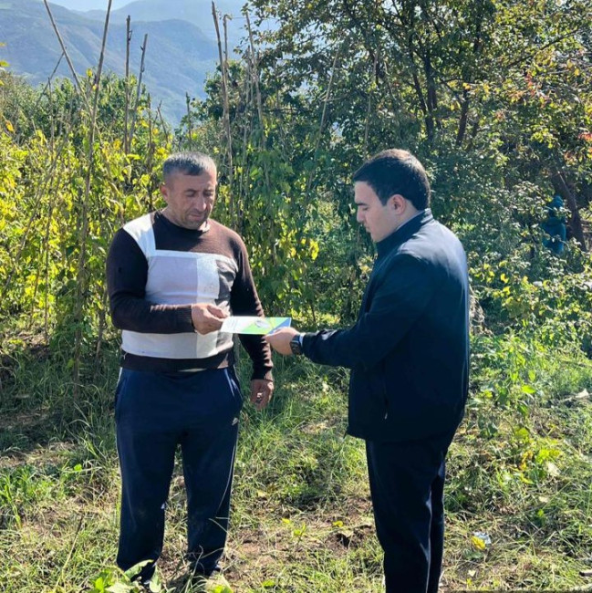 Qəhvəyi mərmər bağacığına qarşı tədbirlər davam etdirilir