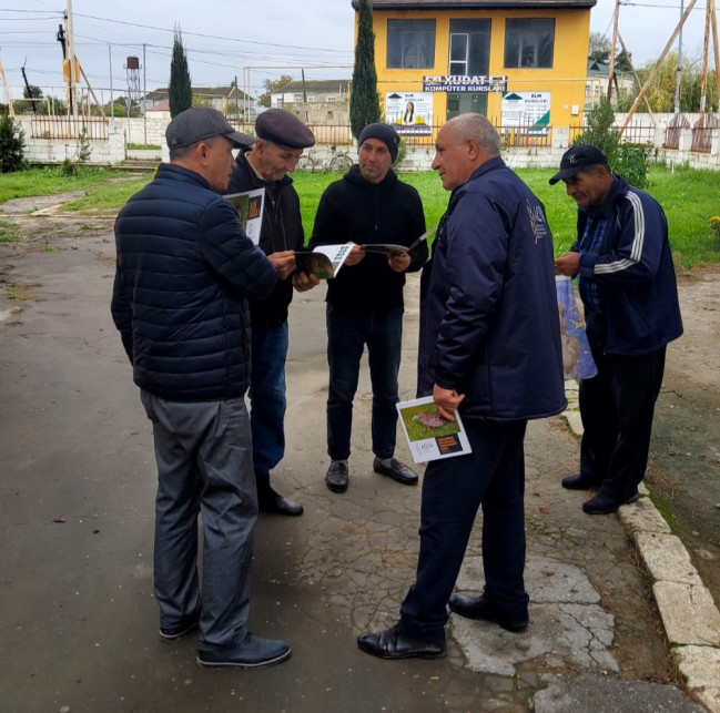 Xaçmazda Qəhvəyi mərmər bağacığına qarşı fitosanitar tədbirlər davam etdirilir