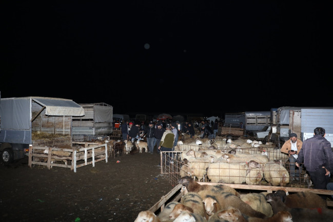 Biləsuvarda yerləşən heyvan bazarında nöqsanlar aşkarlanıb