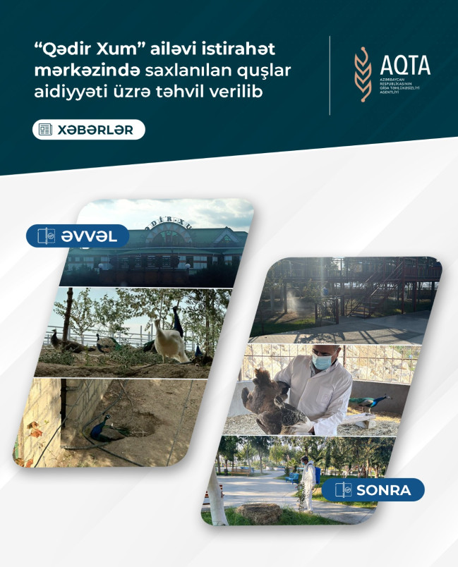 “Qədir Xum” ailəvi istirahət mərkəzində saxlanılan quşlar aidiyyəti üzrə təhvil verilib