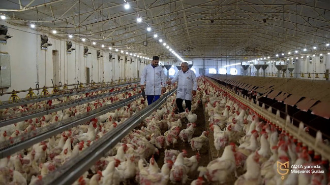 Azərbaycan Quş Əti, Yumurta İstehsalçıları və İxracatçıları Assosiasiyası “Qida təhlükəsizliyi tək dövlətin deyil, hər kəsin işidir” təşəbbüsünü dəstəkləyir - VİDEO