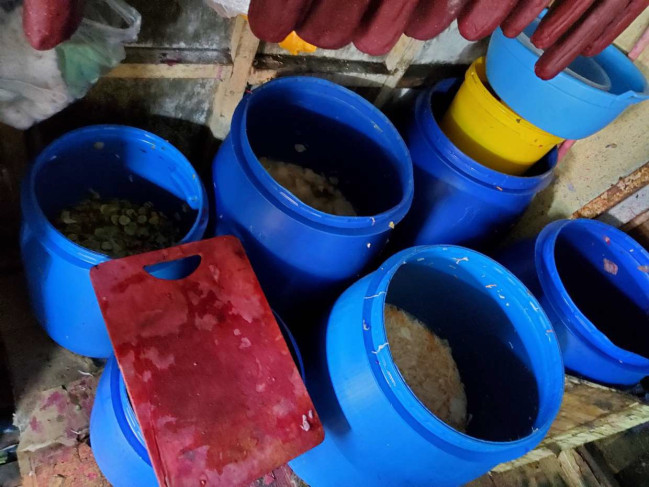 Bazarda satışa çıxarılan dana əti basdırmasında at DNT-si aşkarlanıb