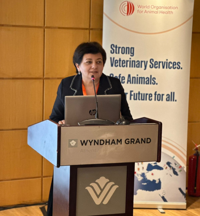 AQTA sədrinin müavini Afinada keçirilən beynəlxalq tədbirdə iştirak edib