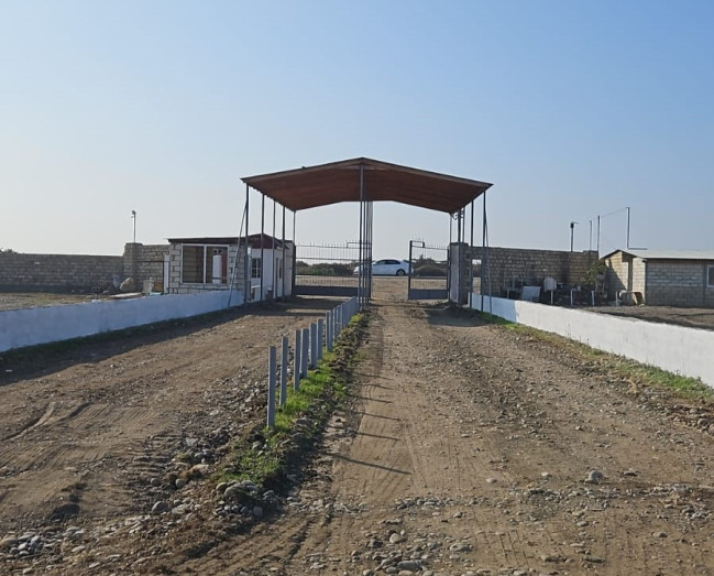 Göygöl və Biləsuvarda yerləşən heyvan bazarlarında infrastrukturun yenilənməsi davam etdirilir