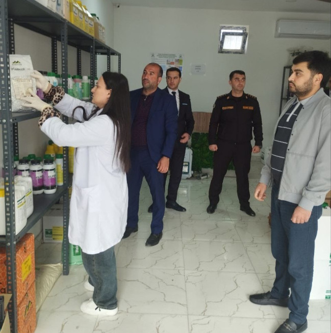 Ölkə üzrə pestisidlərin saxlanması və satışına dair monitorinqlərə başlanılıb - VİDEO