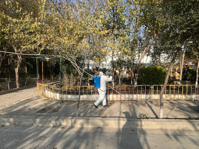 “Fədək” restoranında baytarlıq nəzarəti olmadan saxlanılan heyvanlar aidiyyəti üzrə təhvil verilib