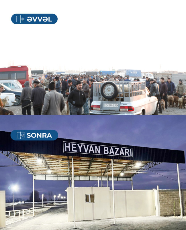 Bərdə heyvan satışı bazarı fəaliyyətə başlayıb