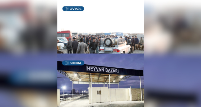 Bərdə heyvan satışı bazarı fəaliyyətə başlayıb