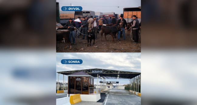 Bərdə heyvan satışı bazarı fəaliyyətə başlayıb