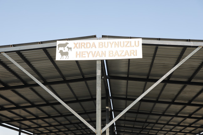 Göygöl heyvan bazarında yenidənqurma işləri yekun mərhələdədir