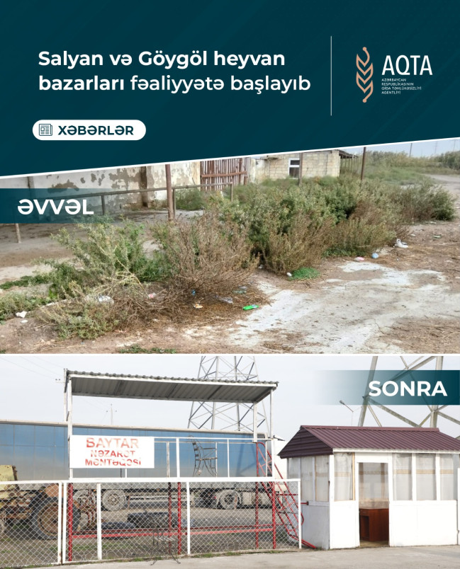 Salyan və Göygöl heyvan bazarları fəaliyyətə başlayıb