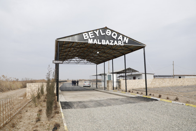 İmişli və Beyləqan heyvan bazarları açılışa hazırdır - Video