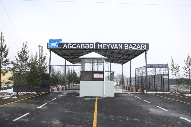 Ağcabədi heyvan bazarının fəaliyyətinə icazə verilib - VİDEO