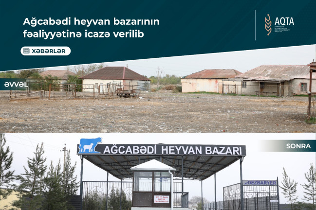 Ağcabədi heyvan bazarının fəaliyyətinə icazə verilib - VİDEO