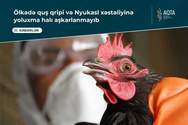 Ölkədə quş qripi və Nyukasl xəstəliyinə yoluxma halı aşkarlanmayıb