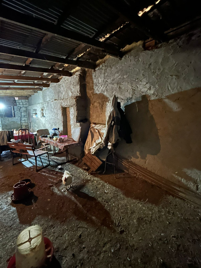 Masallıda qanunsuz fəaliyyət göstərən toyuq sexi aşkarlanıb-VİDEO