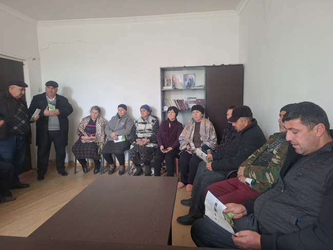 Qəhvəyi mərmər bağacığına qarşı monitorinqlər davam etdirilir