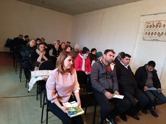Qəhvəyi mərmər bağacığına qarşı monitorinqlər davam etdirilir