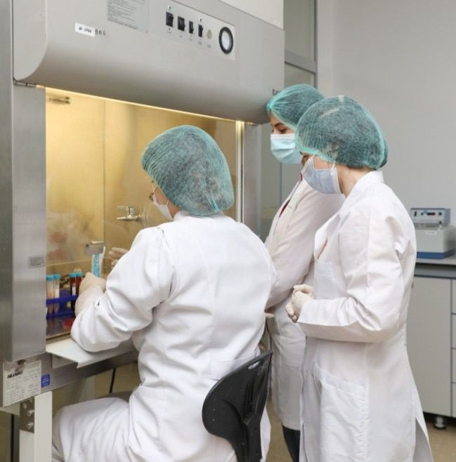 AQTA-da təcrübə keçən 75 nəfər işlə təmin olunub