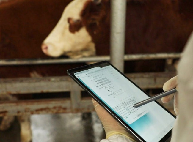 Şərqi Zəngəzur və Qarabağ iqtisadi rayonlarında heyvan xəstəliklərindən azad zonaların sərhədləri müəyyənləşdirilib