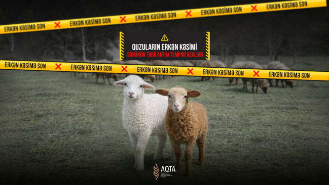 AQTA "Erkən kəsimə son" adlı maarifləndirici kampaniyaya başlayıb