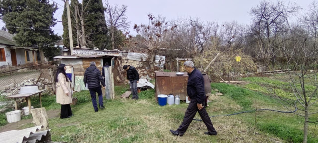 Qəhvəyi mərmər bağacığı ilə mübarizə tədbirləri davam etdirilir