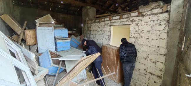 Qəhvəyi mərmər bağacığı ilə mübarizə tədbirləri davam etdirilir